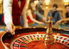 vwin德赢官网首页2024最新版